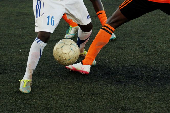 Scommesse sportive online