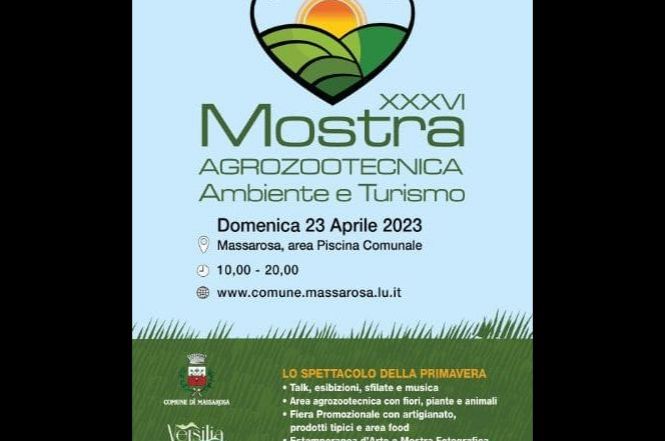 Domenica va in scena la mostra agrozootecnica a Massarosa