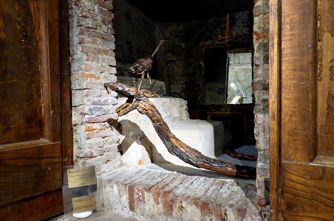 La “Driftwood Art” approda in sala delle Grasce a Pietrasanta