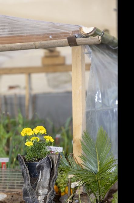 È la Via dell’Orto, la Natura che arreda la Città: torna il contest degli Orti Creativi