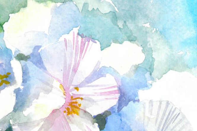 Sabato di pittura a Seravezza con Stefania Neri