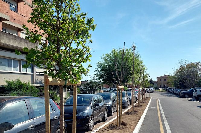 Conclusi lavori al parcheggio ex Asl con la piantumazione di 11 nuovi alberi