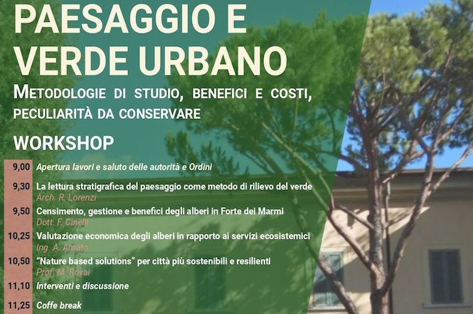Forte dei Marmi protagonista a Londra di uno studio scientifico sul suo patrimonio arboreo