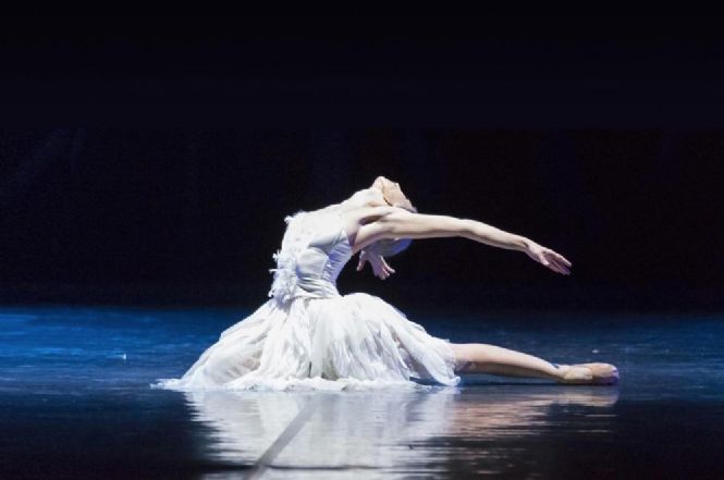 Torna domani il grande balletto in Versiliana: in scena “Il Lago dei Cigni, ovvero il Canto”