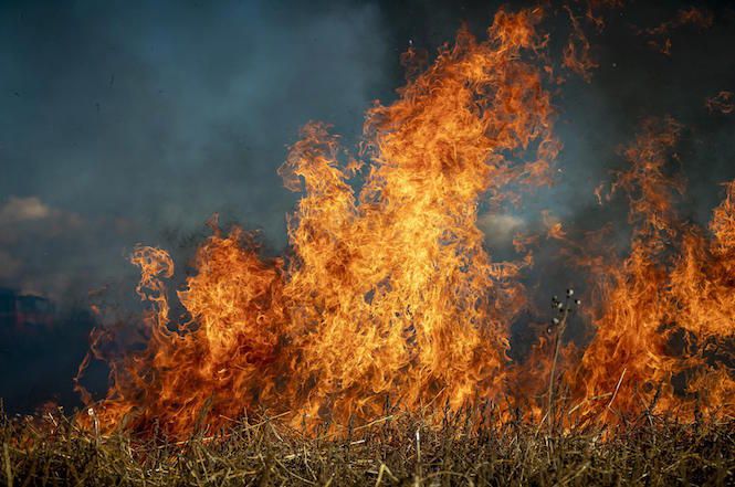 La Regione proroga il periodo di rischio incendi boschivi al 15 SETTEMBRE