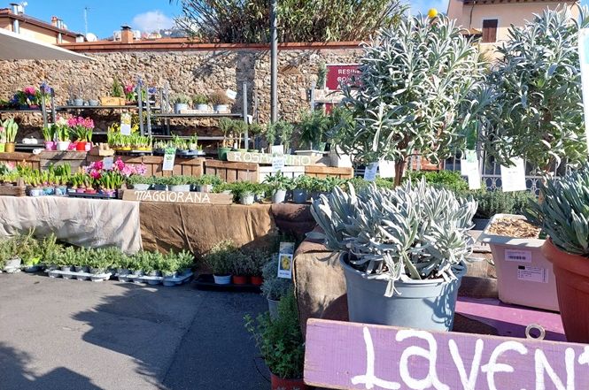 San Biagio, aperto il bando per la fiera agrozootecnica