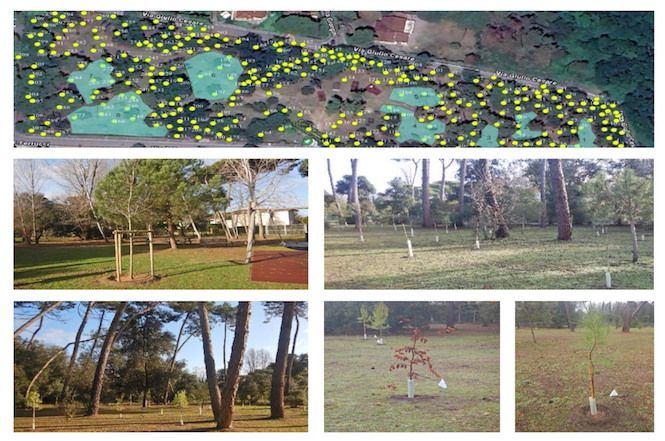 Vocazione "verde" al Forte con la messa a dimora di 200 esemplari arborei e arbustivi