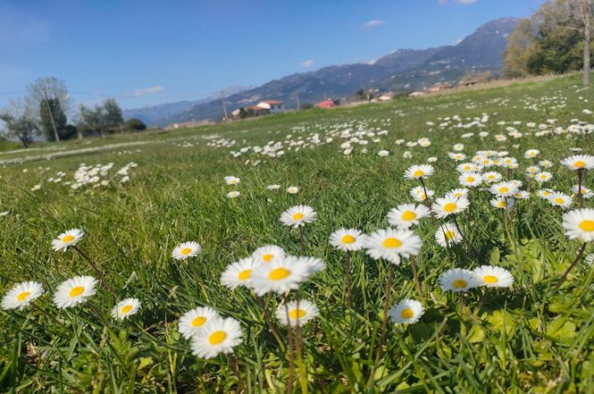 E oggi è primavera! Svegliatevi bambine!