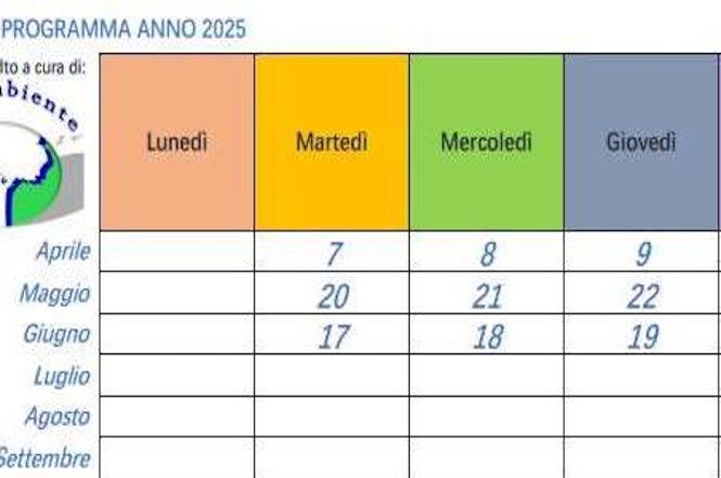 Forte, parte il piano contro le zanzare: interventi mirati e sostenibili