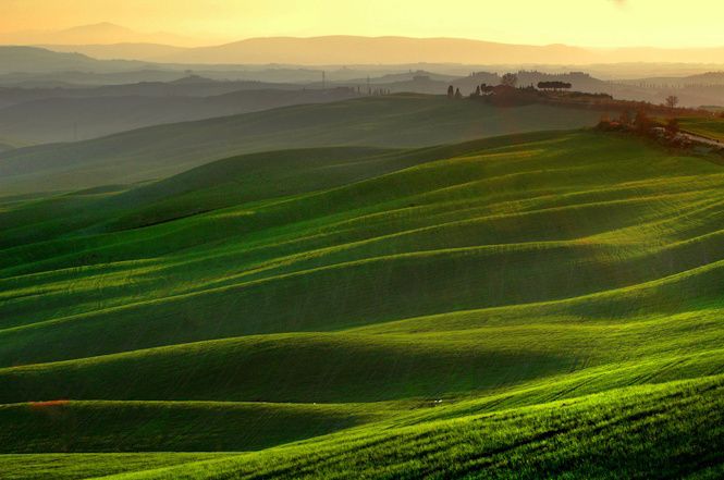Dal 6 maggio a Firenze  la mostra "tracce fiorentine": Lorenzo Bojola