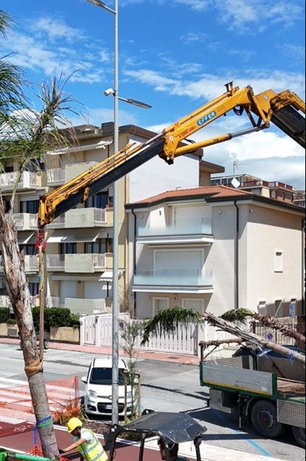 200 nuove piantumazioni sulla Passeggiata di Lido di Camaiore