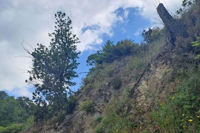 Massarosa: aperto il cantiere sui versanti a Montigiano