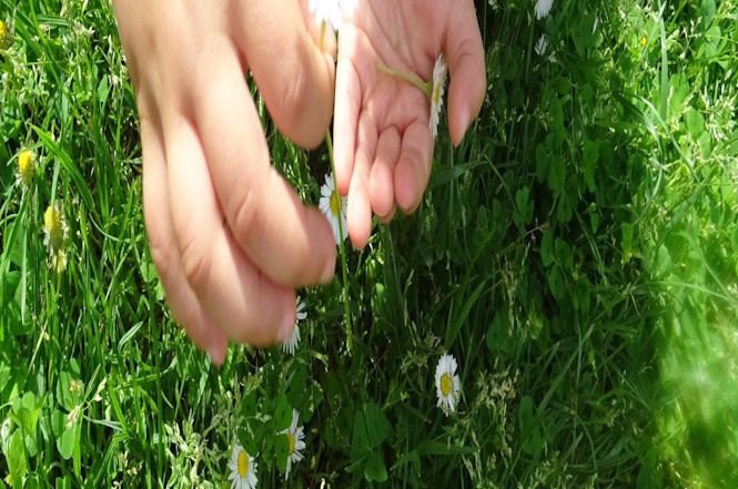 Massarosa, al via le domande per il servizio Centri Estivi 0-6 anni