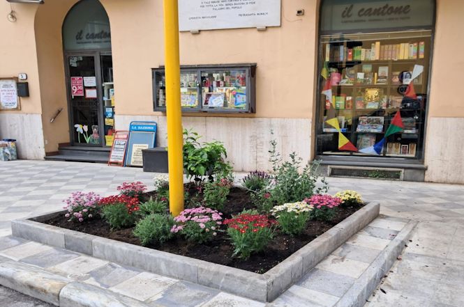 Iniziata la riorganizzazione della manutenzione "verde" negli spazi pubblici
