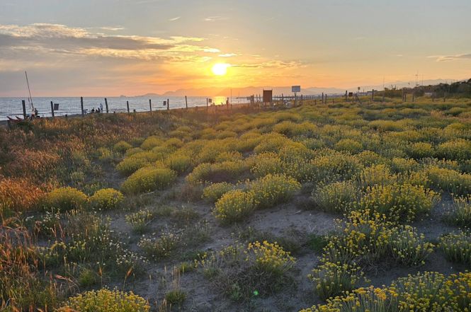 Domani Forte dei Marmi celebra i trent’anni dell’Oasi WWF Dune