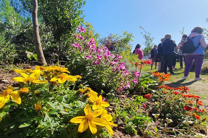 Massarosa in fiore da appuntamento a tutti per questo fine settimana