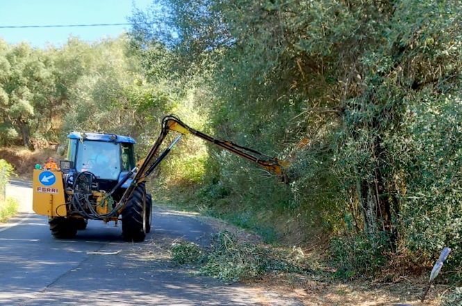 Pietrasanta: interventi di pulizia straordinaria sulle viabilità collinari