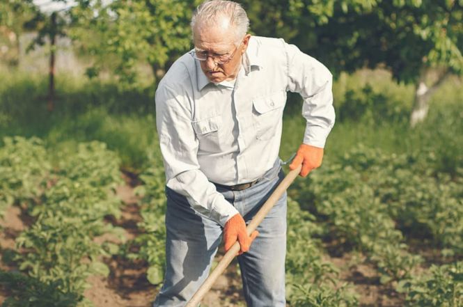 Agricoltura sociale, Massarosa promuove il progetto “Nonni per tutte le stagioni”