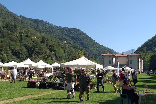 Seravezza, torna domani la Fiera del Nove, detta anche dei Becchi