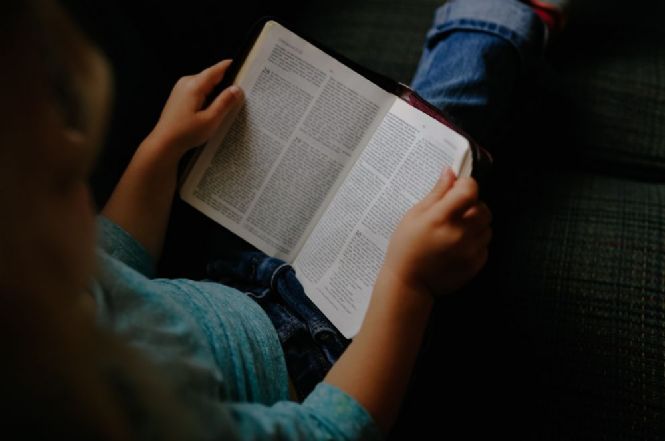 Pietrasanta, la biblioteca “festeggia” i nati nel secondo semestre 2024