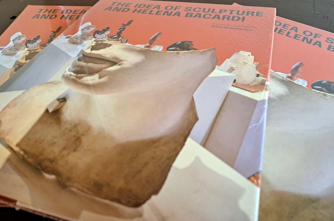 Presentato il catalogo della mostra di Palazzo Bollani a Venezia