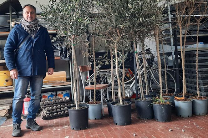 Massarosa, Giornata Nazionale degli Alberi protocollo con il Consorzio di Bonifica