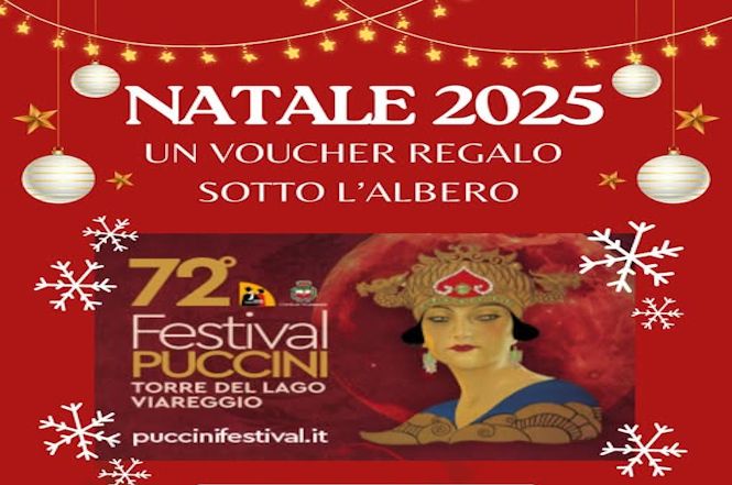 Un reagalo per Natale? Una serata all'opera