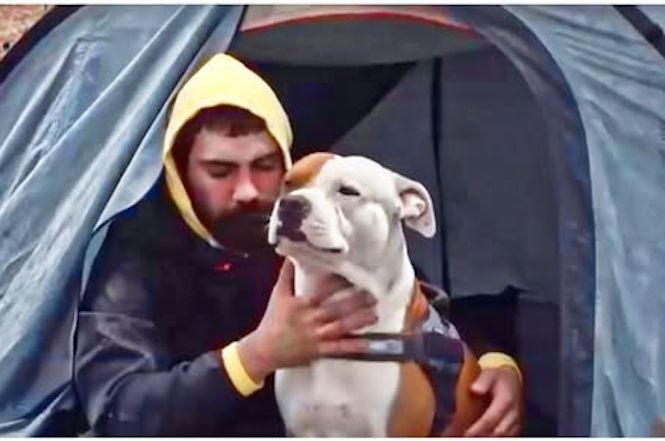 Giuseppe, ma davvero nessuno può aiutare lui ed il suo cane?