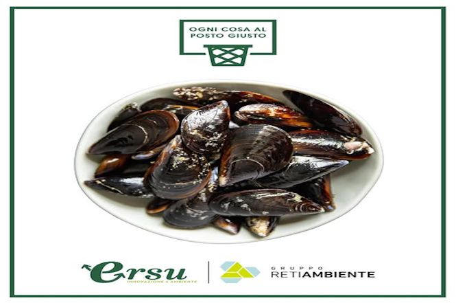 Pietrasanta, nuove modalità di raccolta