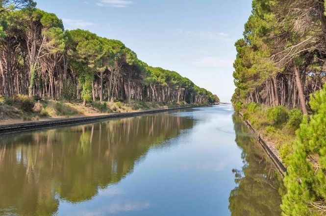 Ente parco San Rossore: ok dell’Aula al Bilancio di esercizio 2024