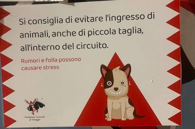 Stop ai cani durante il corso mascherato