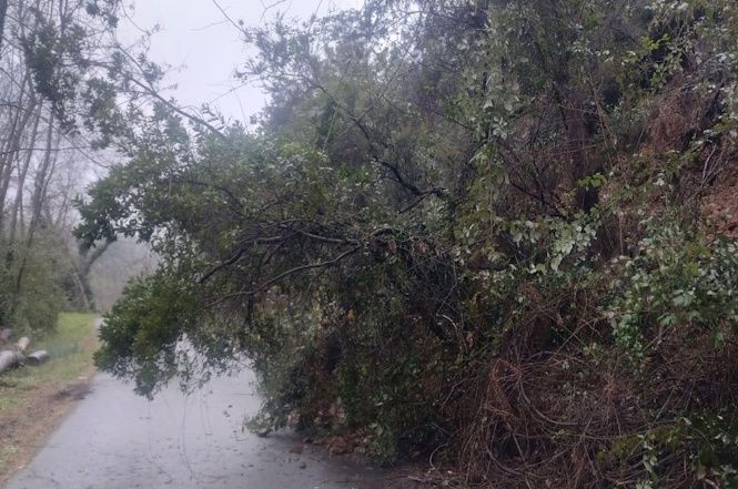 Troppa pioggia e si registrano due frane a Fibbialla