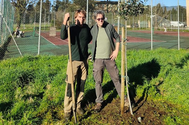Venti nuove piante al Liceo Vallisneri