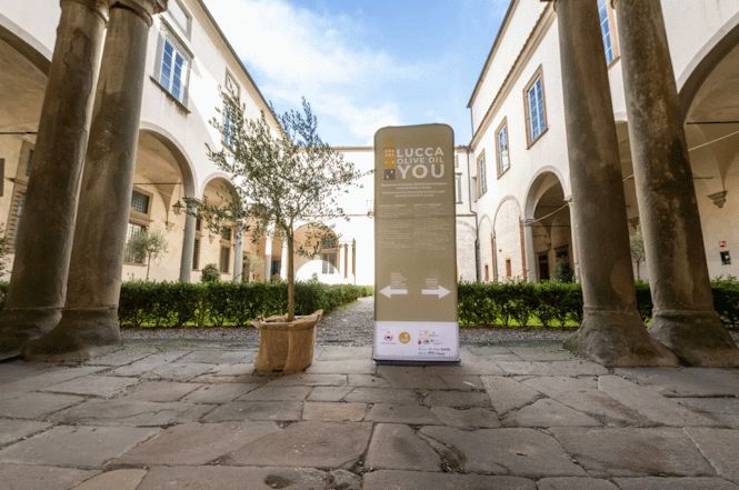 A Lucca torna il Festival dell'olio extravergine di oliva