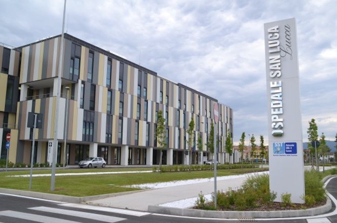 Domani è la giornata mondiale del rene