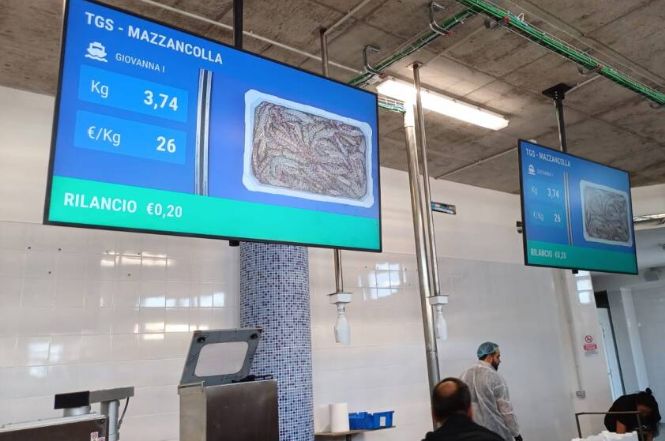 Maineri: "Il mercato ittico va inserito in un progetto di rigenerazione urbana"