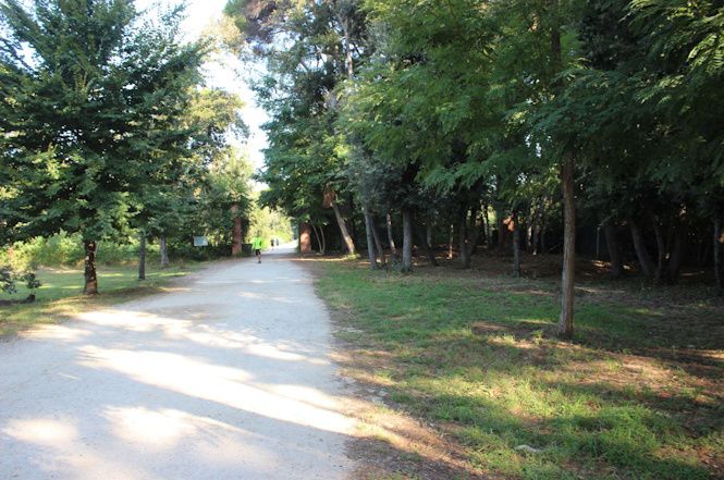 Bosco della Versiliana, prosegue la sinergia con l'Unione dei Comuni