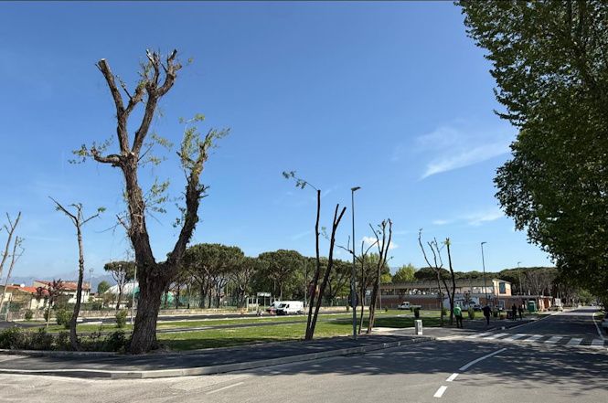 Martedì 21 aprile alle 10.30 alla GAMC sarà presentato il nuovo centro sportivo Zappelli