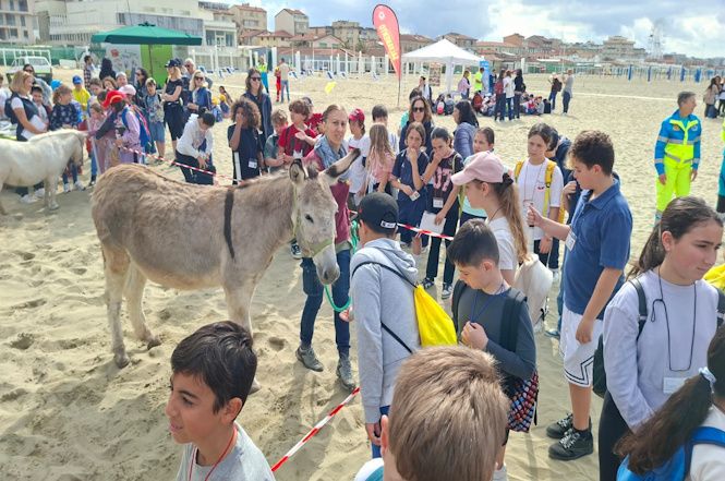 “Papà ti salvo io” 2026: asini, pony e cani da salvataggio conquistano la spiaggia di Lido
