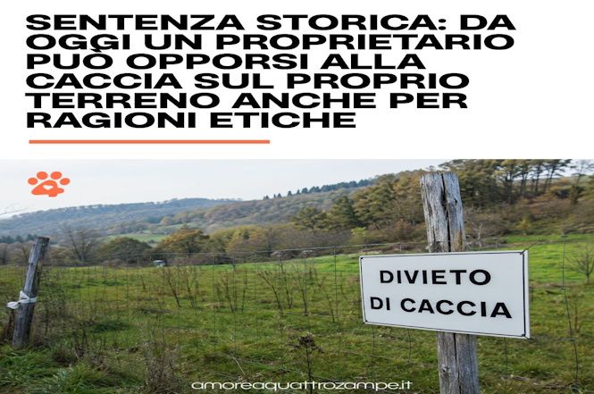 "A casa mia non si caccia", sentenza storica dle TAR di Pescara