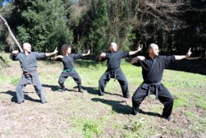 Ninja Energy Circle