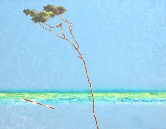 "Canto di maestrale": personale di Riccardo Corti a Calcinaia