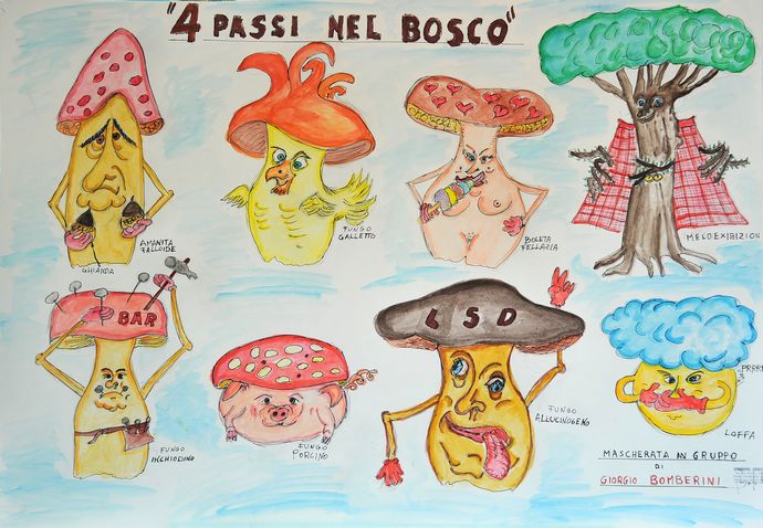 4 passi nel bosco