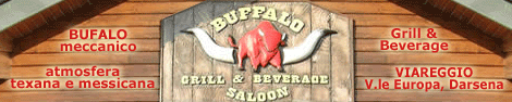 Buffalo Saloon Buffalo Saloon