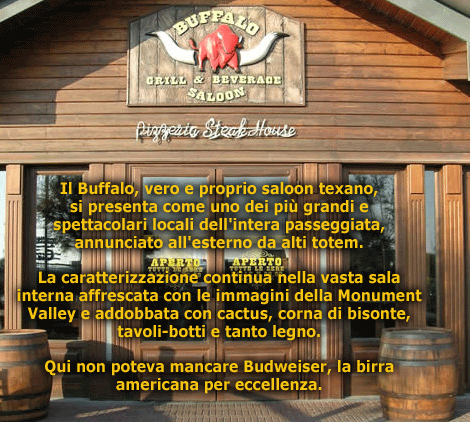 Buffalo Saloon