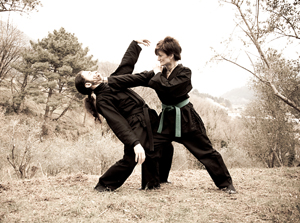Ninjutsu – Bujutsu Ninjutsu – Bujutsu