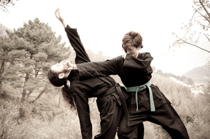 Ninjutsu – Bujutsu Ninjutsu – Bujutsu