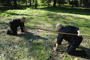 Ninjutsu – Bujutsu Ninjutsu – Bujutsu