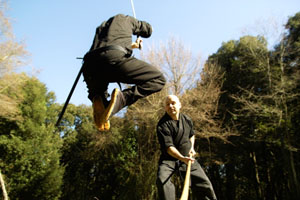 Ninjutsu – Bujutsu Ninjutsu – Bujutsu